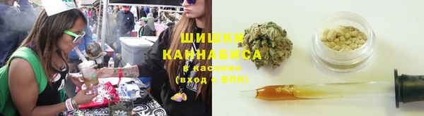 бошки Осинники