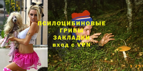 прущие грибы Видное