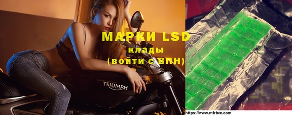 прущие грибы Видное
