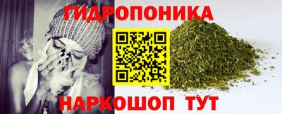 индика Азнакаево