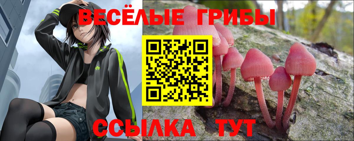 Галлюциногенные грибы Cubensis  Алушта  Галлюциногенные грибы Psilocybe 